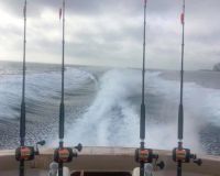 silver linig fishing 11 20210221